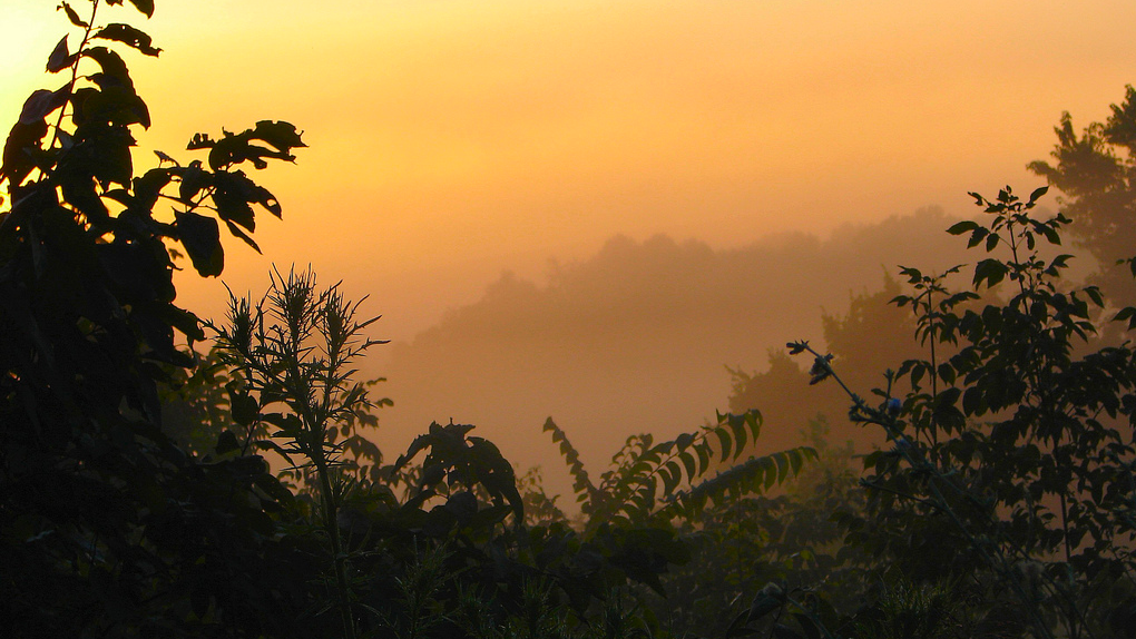 indiana-morning Photo credit: cindy47452 on Visual hunt / CC BY-NC-SA
