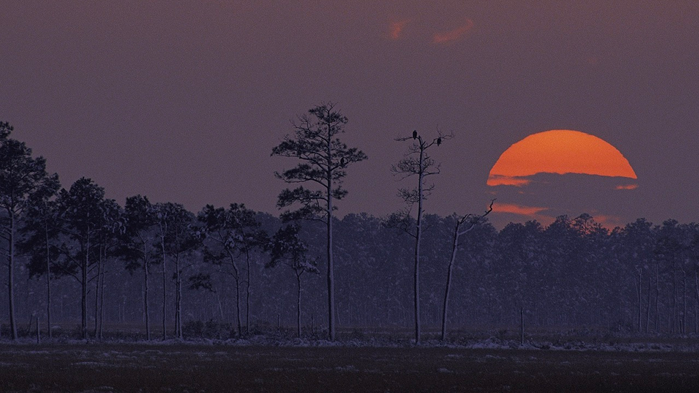 maryland-sunset Photo: Pixabay
