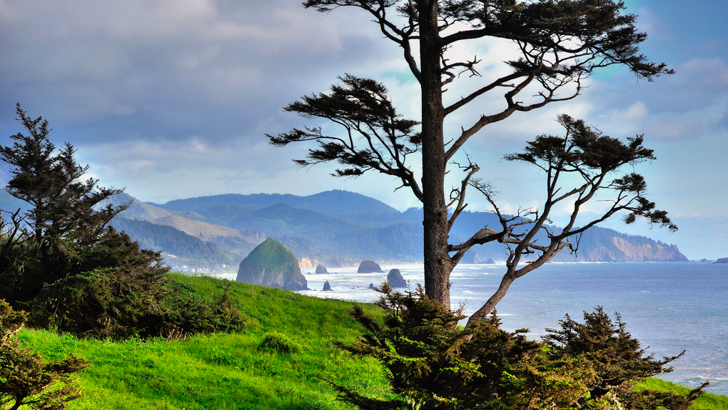 middle-oregon Photo credit: thor_mark on Visualhunt / CC BY-NC-SA