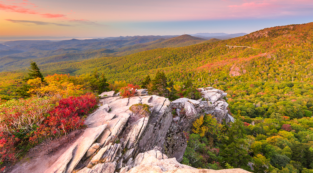 NorthCarolinafoliage NorthCarolinafoliage